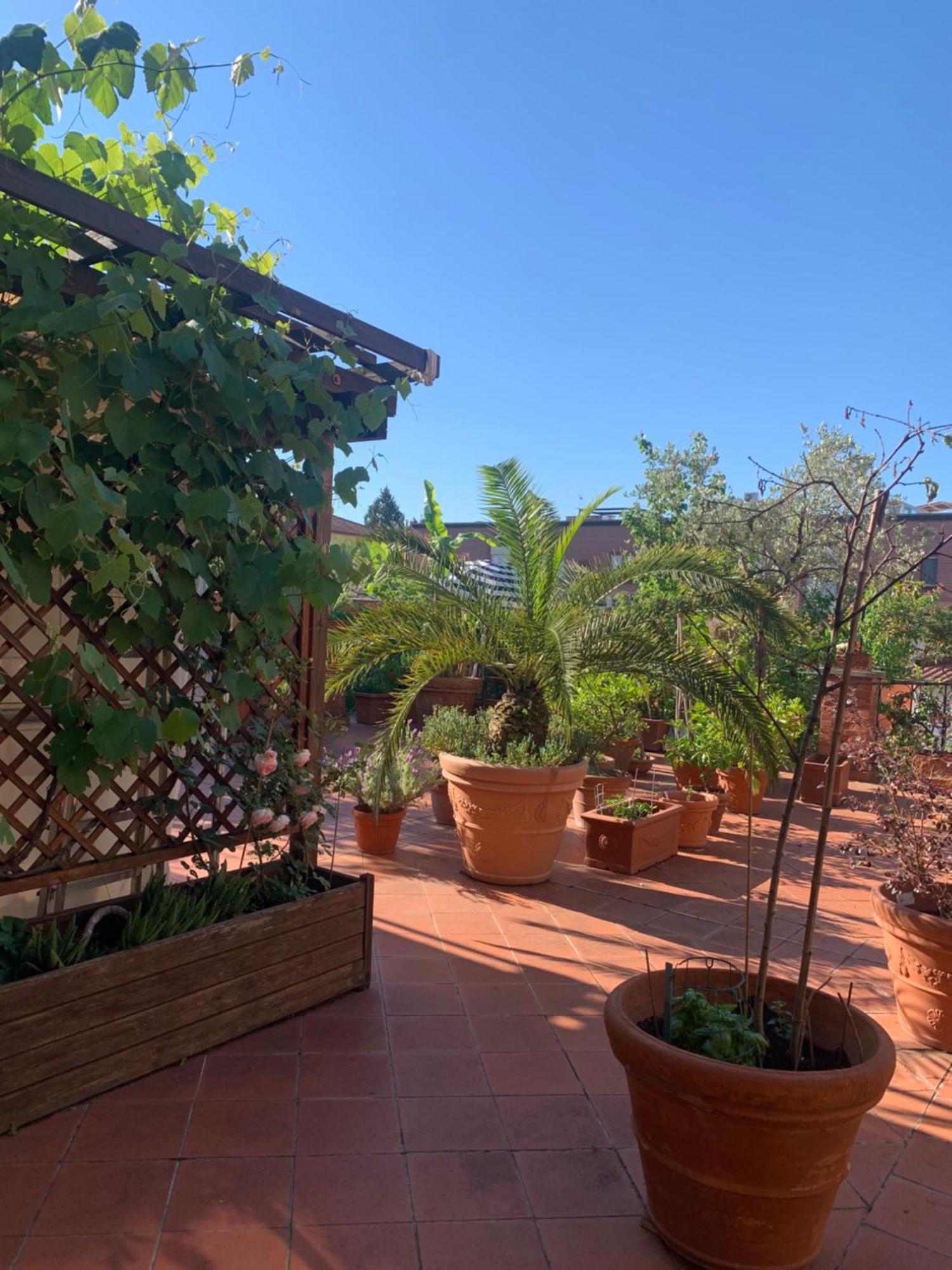 Ferienwohnung La Terrazza Da Ernestina Lucca Exterior foto